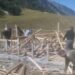 Illegal Sonamarg Structure Demolished Wildlife Department Cracks Down on Encroachment