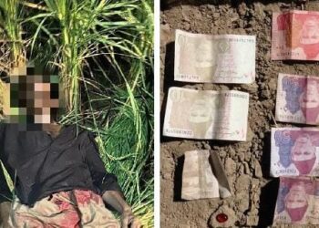 Pak intruder shot dead by BSF along international border in Punjab