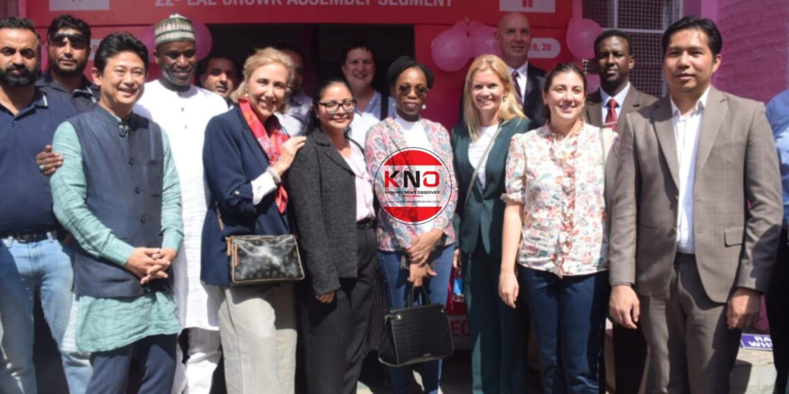 Foreign diplomats make surprise landing in Kashmir amid polls, ‘Our purpose to observe polling, see how democracy works on ground’