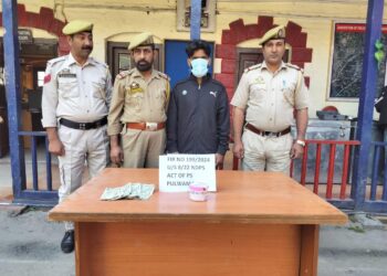 Police arrests drug peddler in Pulwama; Contraband substance, cash recovered
