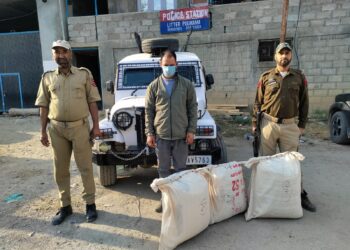 Police arrests drug peddler in Pulwama Contraband substances recovered
