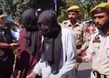 Two militants behind several grenade attacks arrested in Poonch: Police