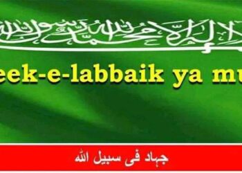 Recruitment Module Of New terrorist Group ‘Tareek Labaik Ya Muslim’ Busted In Kashmir: CIK