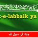 Recruitment Module Of New terrorist Group ‘Tareek Labaik Ya Muslim’ Busted In Kashmir: CIK