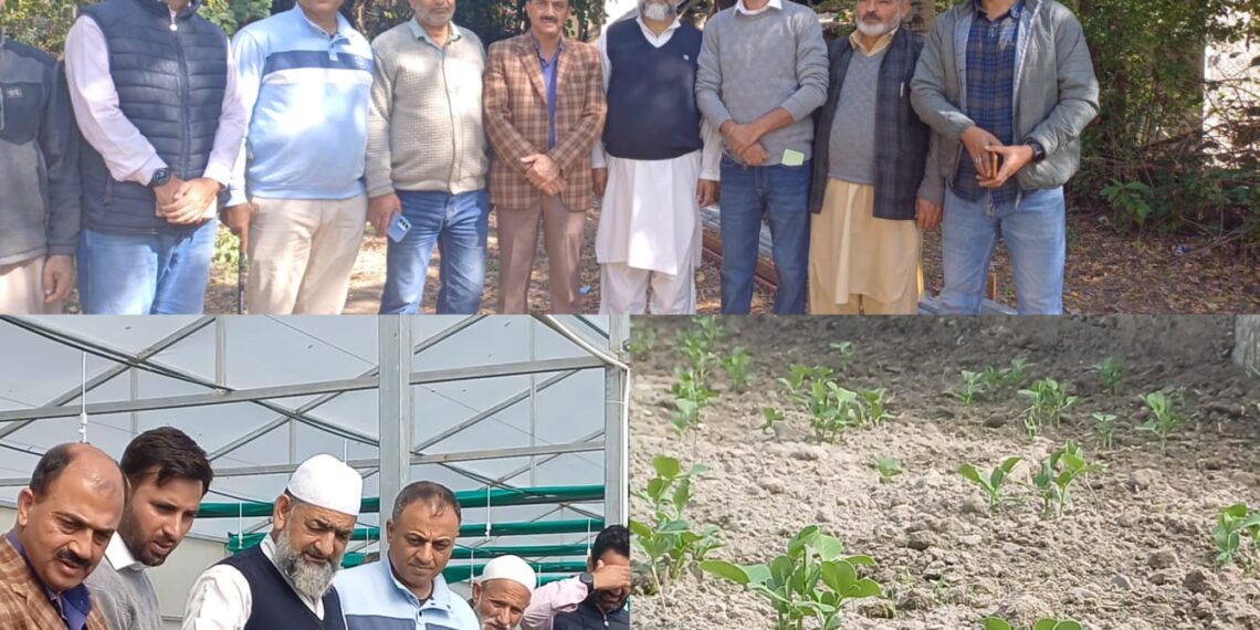 ڈپٹی ڈائریکٹر زراعت نے کرناہ میں محکمہ کے کام کاج کا جائزہ لیا