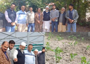 ڈپٹی ڈائریکٹر زراعت نے کرناہ میں محکمہ کے کام کاج کا جائزہ  لیا