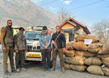 Police arrests 2 smugglers in Ganderbal; Illegally procured forest produce seized