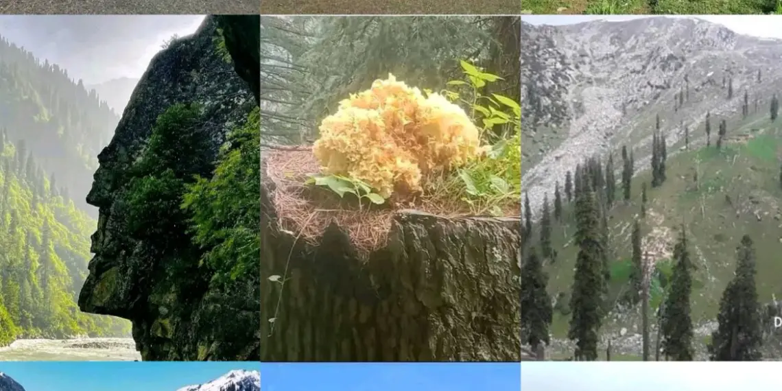 Chittoo Padder: The Hidden Heaven