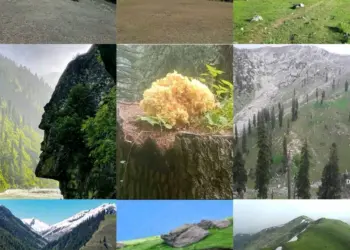 Chittoo Padder: The Hidden Heaven