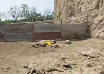 11 Sheep Perish in Budgam Landslide, Villagers Blame Negligence