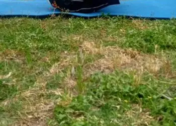 Yoga for All: J&K’s YSS Department Mobilises Thousands Ahead of International Day