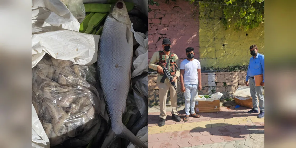 *Flying Squad Seizes 100 Kg Rotten Fish at Srinagar Airport, Seller Booked: Police*