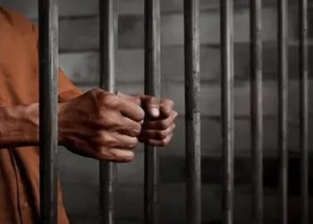Srinagar Court Sentences Man for Allowing Minor Son to Drive