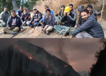 Who Is Responsible for Repeated Forest Fires in Karnah Valley? Civil Society Seeks Accountability