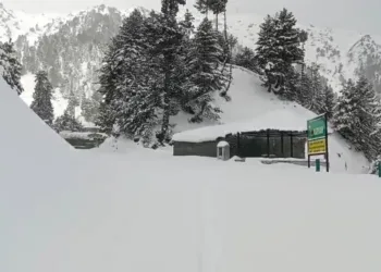 Heavy Snowfall Grips Sadhna Top, Two Feet Snowfall Recorded; Tangdhar-Kupwara Road Closed for Two Days