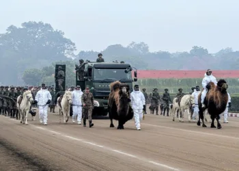 Silent Warriors on Kartavya Path: Indian Army’s Animal Contingent to March on Republic Day 2026