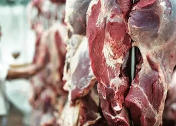 Government to Act Against Mutton Price Hike; Govt Official Says Matter to be Reviewed