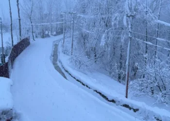 Long Dry Spell Ends as Heavy Rains, Snowfall, Gusty Winds Lash Parts of J&K