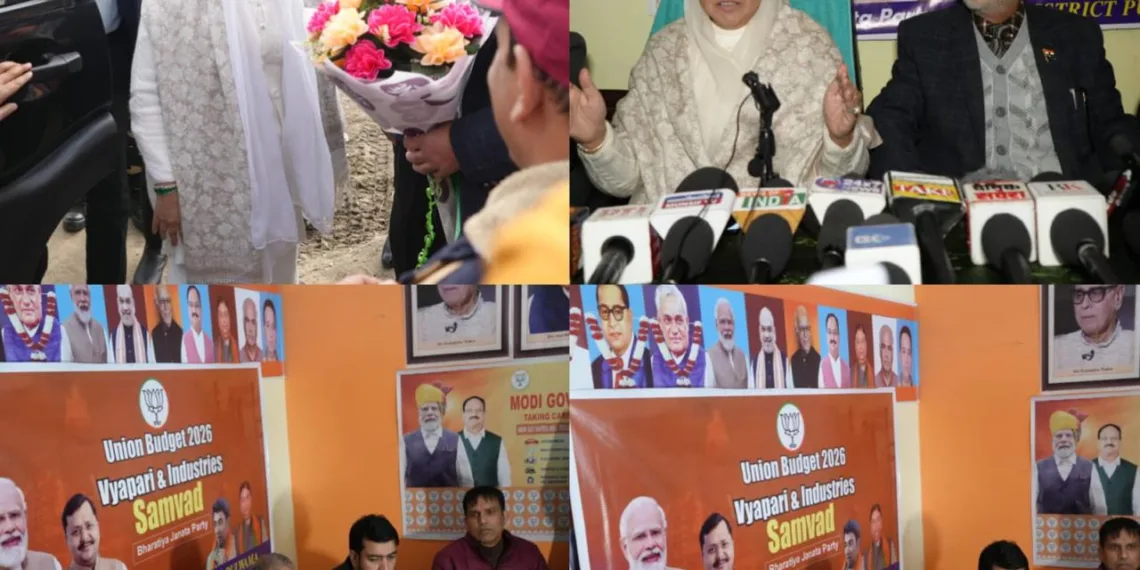 Next Financial Year to Give Meaningful Direction to Indian Economy’: Darakhshan Andrabi