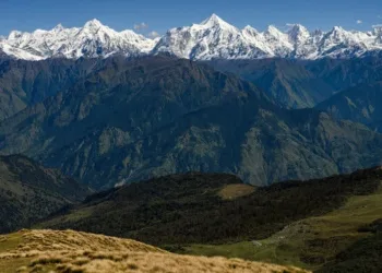 Pulse of The Valley, New Narrative