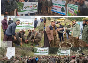 Chinar Day Celebrated by Forest Division Kamraj with Great Enthusiasm