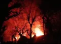 Massive Blaze Engulfs Three Hotel Structures in Pahalgam; Firefighting Operation Underway
