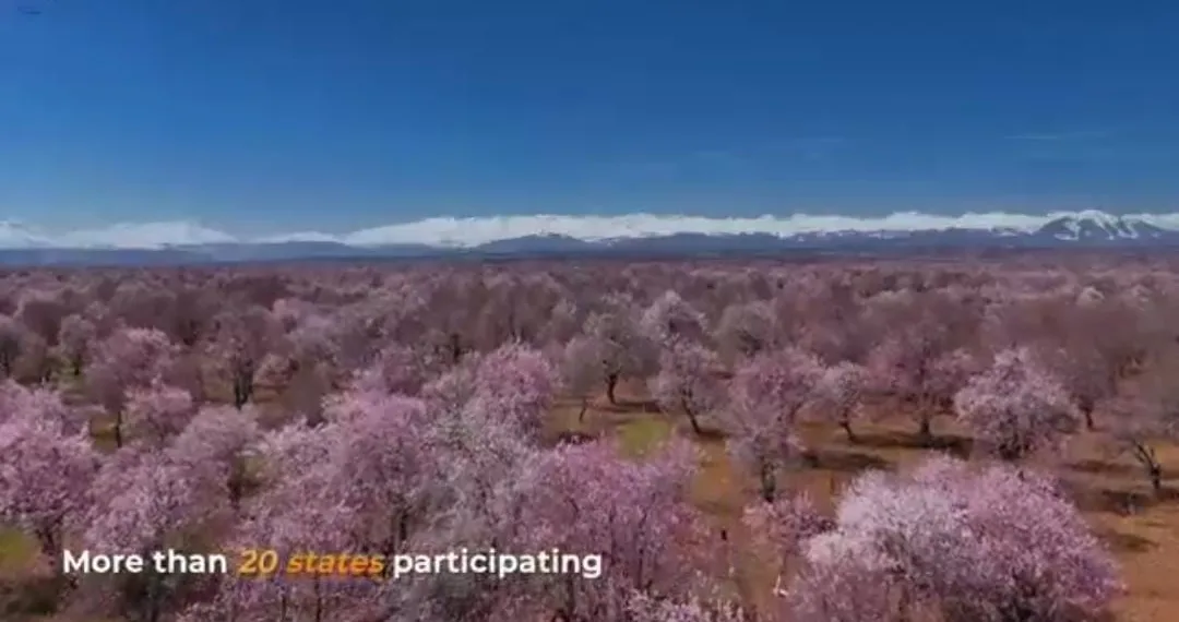 J&K to Host Kashmir Travel Mart-2026 in April; Participants from 20+ States to Participate