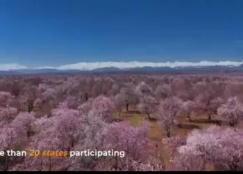 J&K to Host Kashmir Travel Mart-2026 in April; Participants from 20+ States to Participate