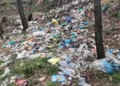Garbage Accumulation Raises Environmental Concerns in Kandoora Beerwah