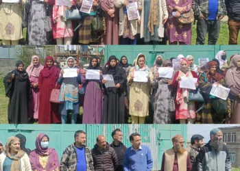 NHM Employees Protest at Trauma Hospital Pattan, Demand Equal Pay and Timely Salaries