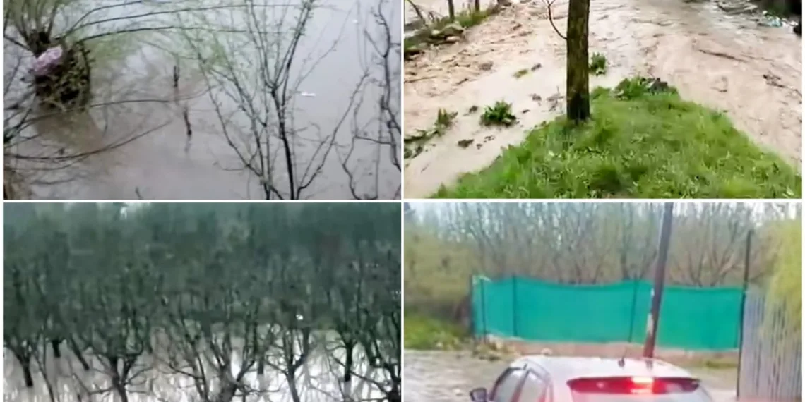 Heavy Rains Trigger Repeated Flooding in Ani Koul, Shamshipora Residents Face Losses; Demand Permanent Solution
