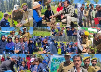 Successful Plantation Drive at Gogaldara Highlights Push for Environmental Sustainability