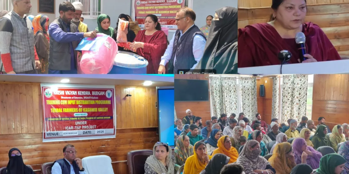 SKUAST-K’s KVK Budgam Empowers Tribal Farmers with Training and Input Distribution under TSP Programme