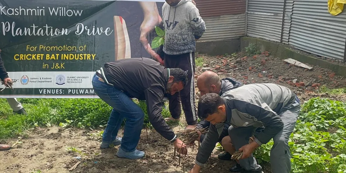 Willow Revival Mission Launched to Sustain Kashmir’s Cricket Bat Industry