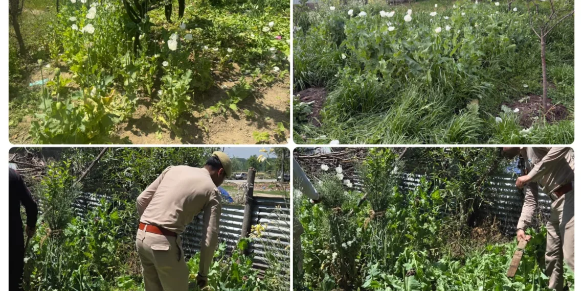 Massive Anti-Drug Sweep in Anantnag: 5 Peddlers Held in 4 NDPS Cases Across District