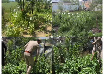 Massive Anti-Drug Sweep in Anantnag: 5 Peddlers Held in 4 NDPS Cases Across District