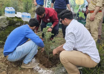 Community-Led Drive Sees 500 Deodar Saplings Planted in Srinagar’s Dignibal Forest Block