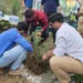 Community-Led Drive Sees 500 Deodar Saplings Planted in Srinagar’s Dignibal Forest Block