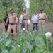 Anti-Drug Drive Intensifies: Illegal Poppy Cultivation Destroyed in Hajin, Case Registered