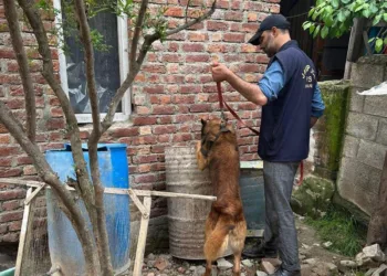 Anantnag Launches Massive Anti-Narcotics Crackdown; CASOs Conducted at 20 Hotspots