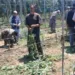 Massive Anti-Narcotics Crackdown in Anantnag: Illegal Poppy Cultivation Busted in Pahalgam, Mattan