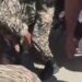 CRPF Personnel Save Unconscious Man’s Life in Zakura