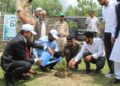 Chinar Corps Leads Green Revolution in Kupwara, Uri on World Environment Day