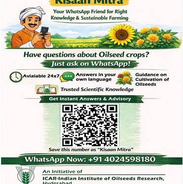 Oilseeds Kisaan Mitra’, India’s First Nationwide WhatsApp AI Advisory for Oilseed Farmers
