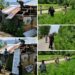 HANDWARA INITIATED DEMOLITION AND DESTRUCTION DRIVE OF WILD HAMP UNDER NASHA MUKT J&K ABHIYAN