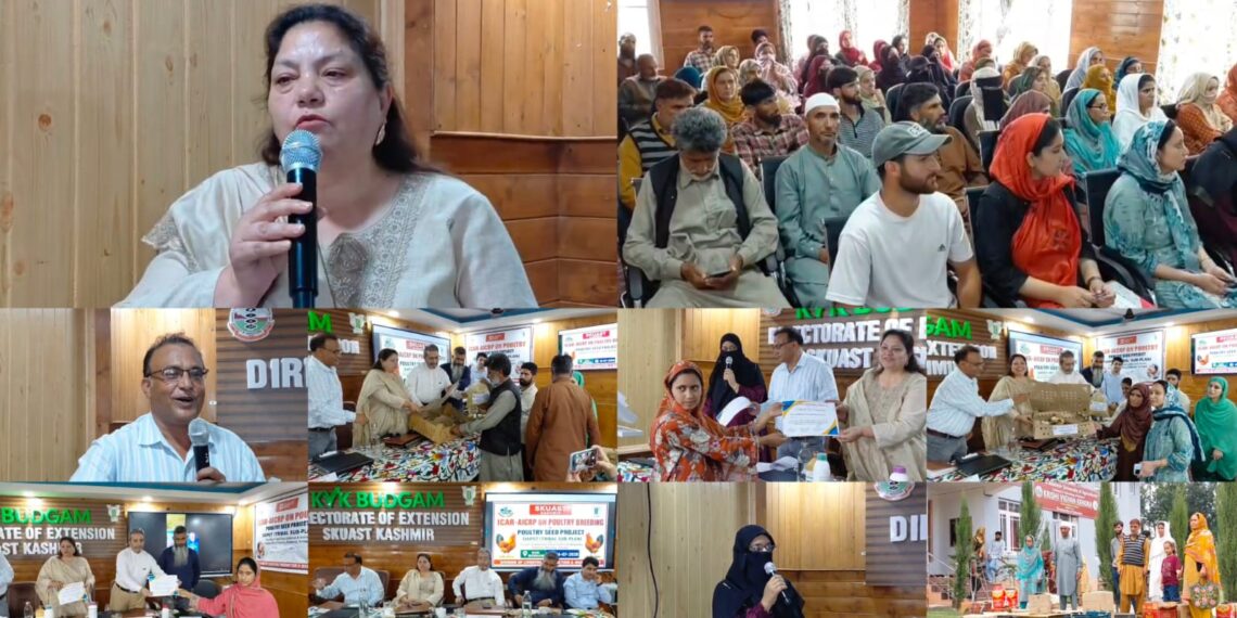 KVK Budgam Distributes 300 Vanaraja Chicks Free of Cost to Promote Rural Backyard Poultry Farming