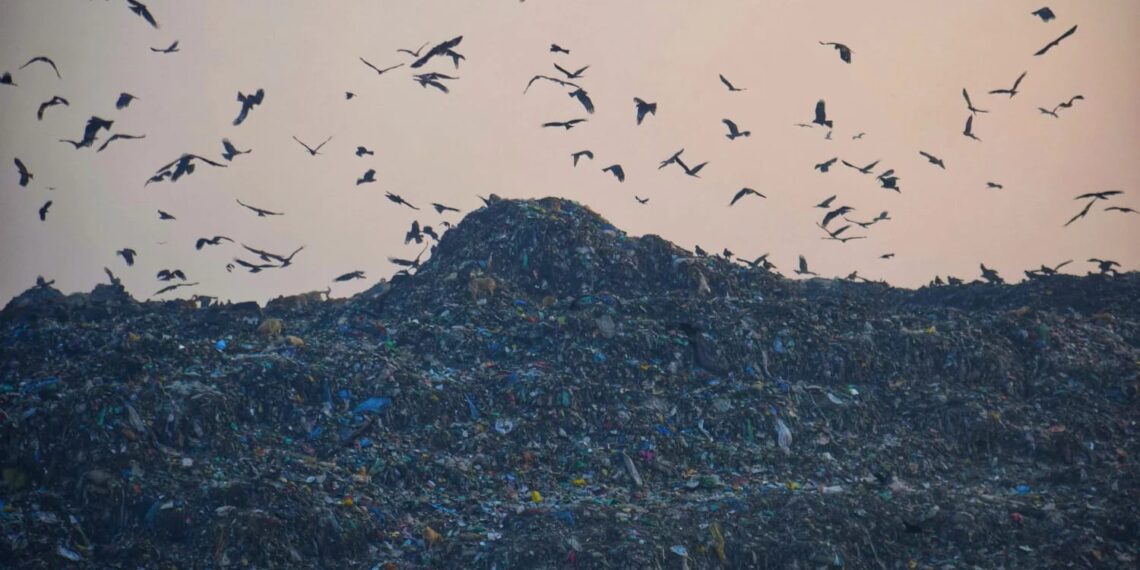 Chief Secretary Reviews Scientific Waste Management at Achan, Pushes for Cleaner, Greener Srinagar