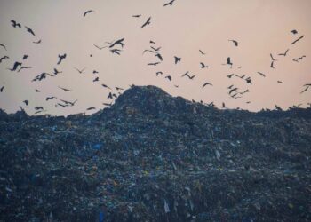 Chief Secretary Reviews Scientific Waste Management at Achan, Pushes for Cleaner, Greener Srinagar
