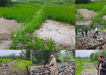 Heavy Flooding Wreaks Havoc in Khag; Villagers Seek Immediate Damage Survey, Government Relief