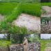 Heavy Flooding Wreaks Havoc in Khag; Villagers Seek Immediate Damage Survey, Government Relief